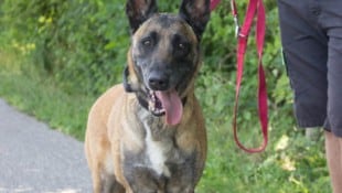 Nanu wartet auf „ihre Menschen“.