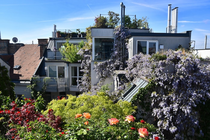 Blumen statt Beton: Grundsteingasse im 16. Bezirk