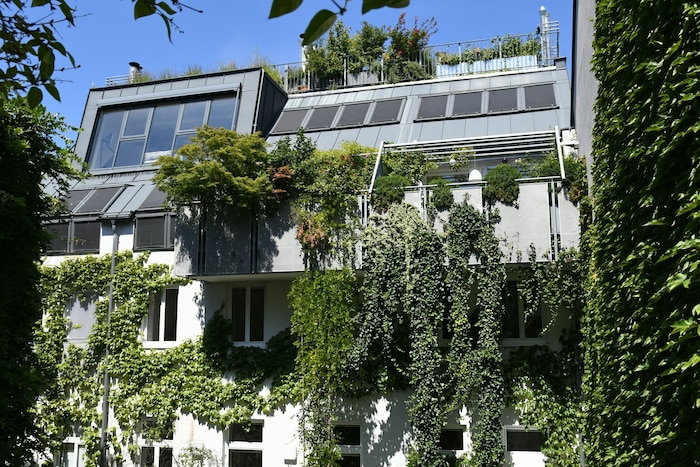 Sattes Grün mitten in Ottakring