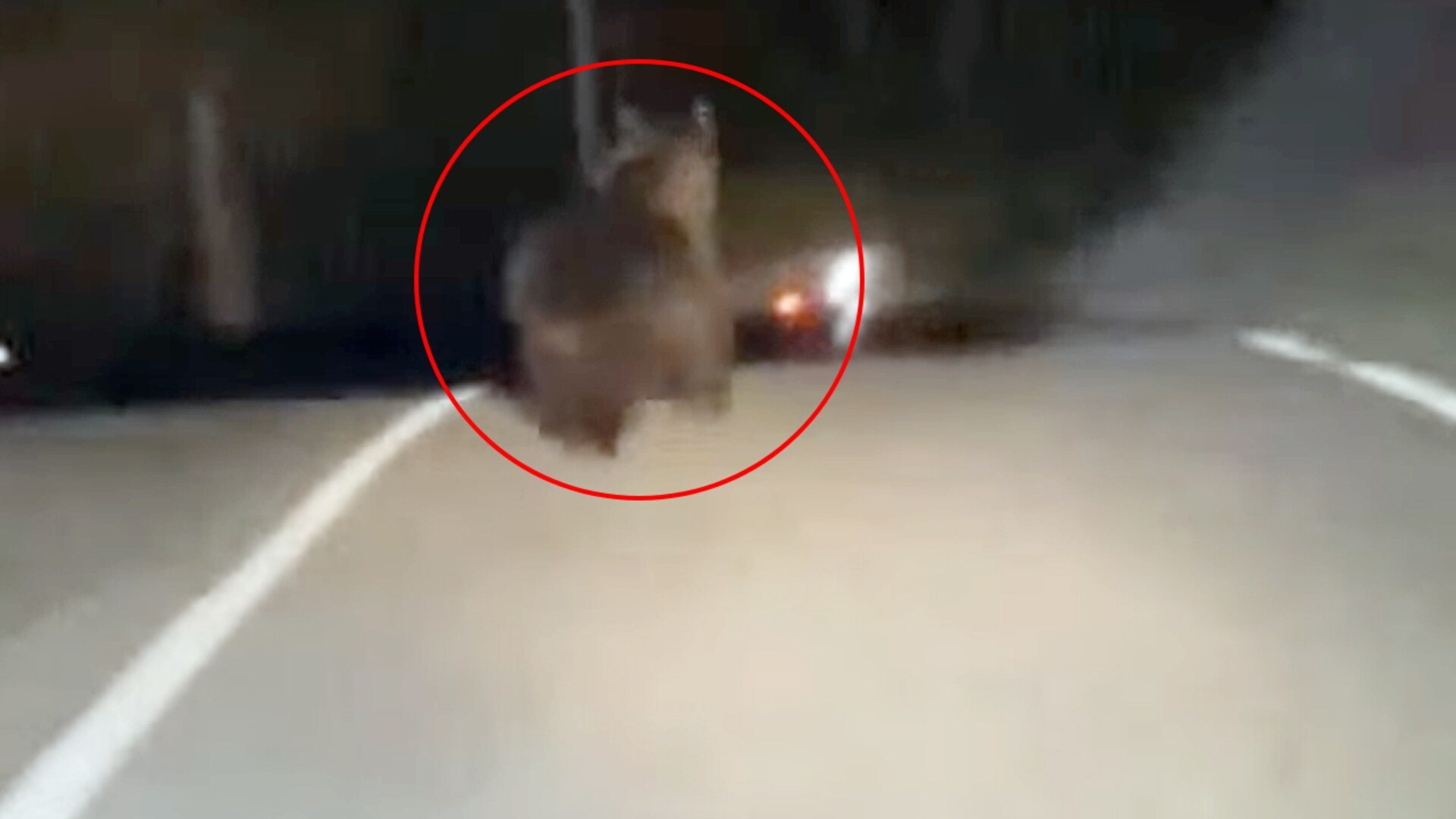 Catarina paolino dando gostoso this girl boasts a killer