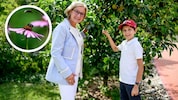 Pure Naturpoesie bei der „Garten Tulln“. „Wir werden diese bewahren“, verspricht Landeshauptfrau ...