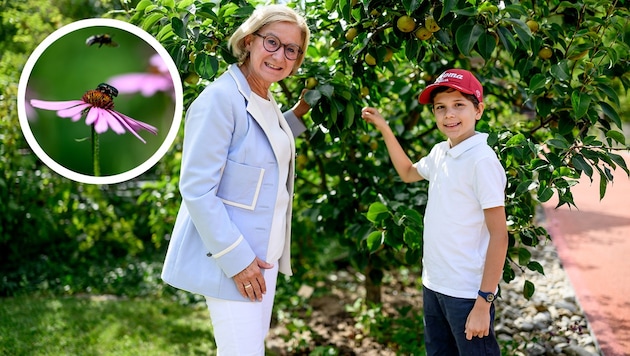 Pure Naturpoesie bei der „Garten Tulln“. „Wir werden diese bewahren“, verspricht Landeshauptfrau ...
