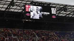 Auf der großen Anzeigetafel des Stadions in New Jersey erschien vor Anpfiff ein Foto von Felix ...