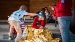 Drei Teams qualifizierten sich für den Bundeswettbewerb.
