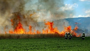 Das Getreidefeld ging in Flammen auf.