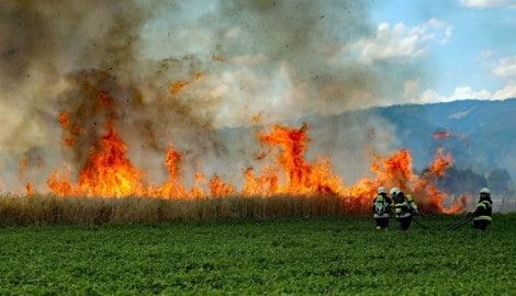 Das Getreidefeld ging in Flammen auf.