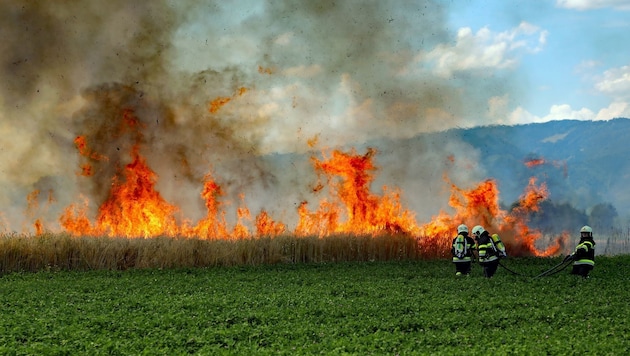 Das Getreidefeld ging in Flammen auf.