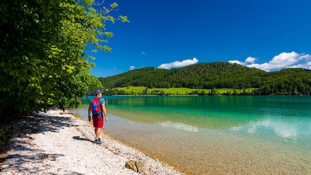 Dem Fuschlsee wurde erneut eine ausgezeichnete Qualität bestätigt. Ebenso 35 weiteren Badeseen ...
