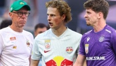 Der SK Rapid (mit Trainer Peter Stöger), Red Bull Salzburg (mit Maurits Kjærgaard) und die ...