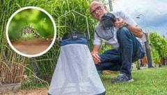 Projektleiter Erwin Wieser setzte am Montag Fallen in einer Grazer Heimgartenanlage aus.