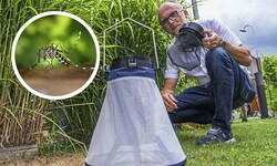 Projektleiter Erwin Wieser setzte am Montag Fallen in einer Grazer Heimgartenanlage aus.