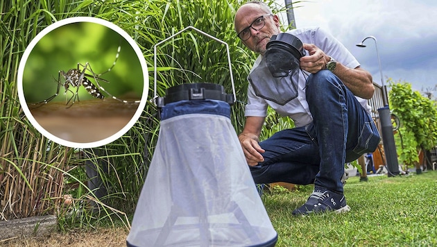 Projektleiter Erwin Wieser setzte am Montag Fallen in einer Grazer Heimgartenanlage aus.