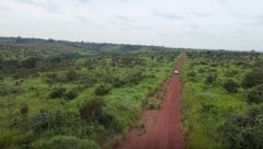In diesem Gebiet im Kongo entsteht ein 30.000 Hektar großer Wald, der zig Tonnen CO2 schlucken ...