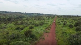 In diesem Gebiet im Kongo entsteht ein 30.000 Hektar großer Wald, der zig Tonnen CO2 schlucken ...