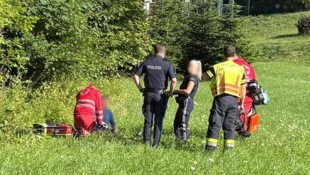 Der Lenker wurde am Ende eines Waldstücks gefunden.