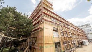 Der neue Pavillon ist eine nötige Übergangslösung.