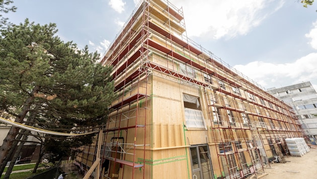 Der neue Pavillon ist eine nötige Übergangslösung.