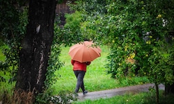 Was man in nächster Zeit sicher noch brauchen wird, ist der Regenschirm. Aber was erst als ...
