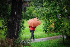 Was man in nächster Zeit sicher noch brauchen wird, ist der Regenschirm. Aber was erst als ...