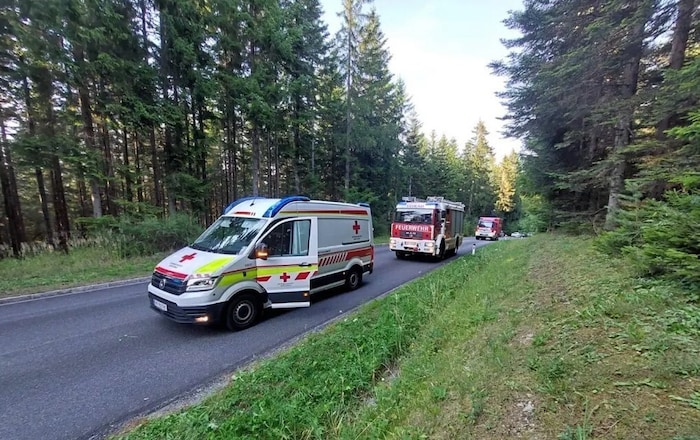 Die Unfallstelle auf der L405 in Vorau