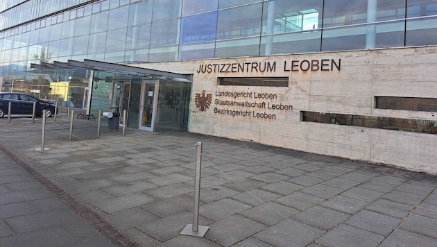Der Steirer kam über Anordnung der Staatsanwaltschaft Leoben in Haft.