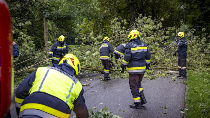 Auch in Sitzenberg-Reidling stürzte ein Baum auf die Straße.