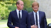 Auf eine Versöhnung zwischen Prinz William und seinem Bruder Prinz Harry müssen die Royal Fans ...