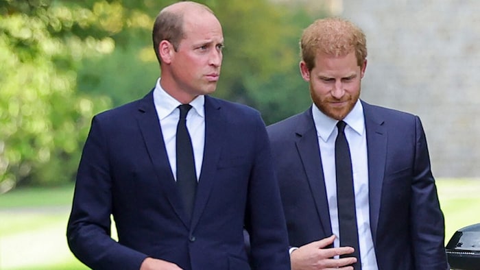 Prinz Harry will auch seinen Bruder Prinz William mit einbeziehen.