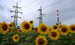 Strom ist ein wichtiger Kostenfaktor. Die Regierung will hier ansetzen und ein neues Gesetz ...