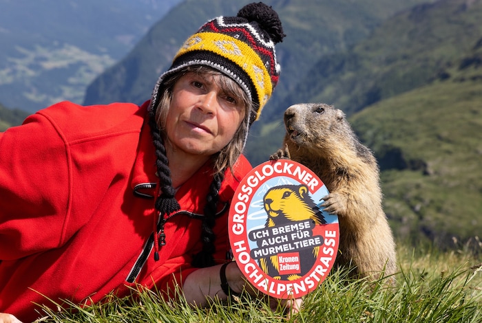 Entlang der Großglockner Hochalpenstraße wacht Martina Gebert über die Murmeltiere, um diese vor ...