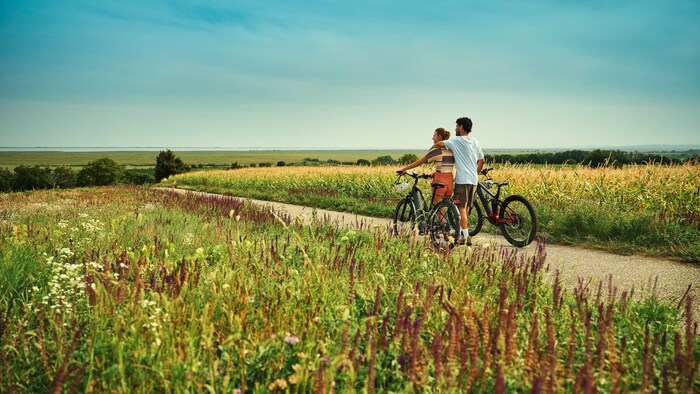 Mit über 3300 km gut ausgebauter Radwege bietet das Burgenland eine der dichtesten ...