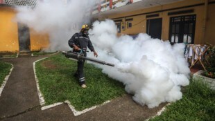 Sri Lanka: Insektizide sollen im Kampf gegen den Erreger Chikungunya die Mückenvermehrung ...