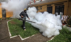 Sri Lanka: Insektizide sollen im Kampf gegen den Erreger Chikungunya die Mückenvermehrung ...