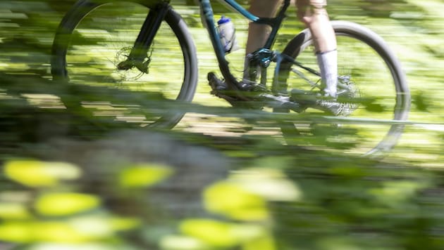Der Mountainbiker kam von einem Forstweg ab (Symbolbild).