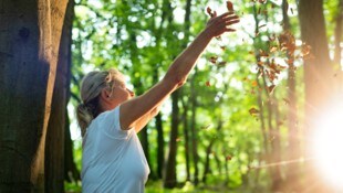 Mini-Urlaub im Holz: Waldbaden klingt etwas seltsam, ist aber gut für die Gesundheit.
