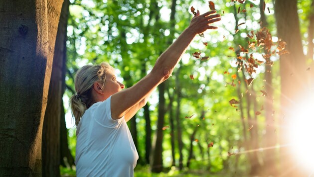 Mini-Urlaub im Holz: Waldbaden klingt etwas seltsam, ist aber gut für die Gesundheit.