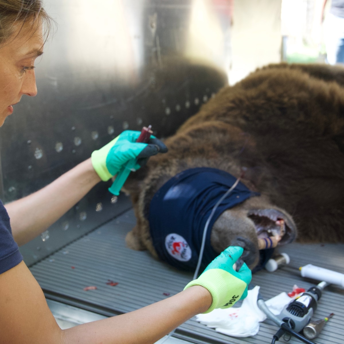 Riley mae lewis porn pics ive encountered several SPP