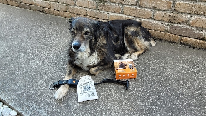 Lea mit dem Tracker „Weenect XT“.