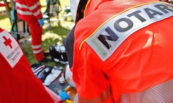 Der Notarzt konnte für die junge Mopedlenkerin nichts mehr tun.