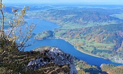 Das Mondseeland gehört zu den schönsten Regionen in Österreich. 