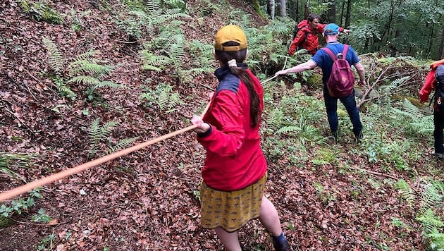 Die deutschen Urlauber wurden sicher zum Ausgangspunkt der Wanderung gebracht.