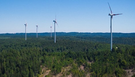 Die Volksbefragung ging zugunsten des Baus von Windrädern im Gebiet der Stadtgemeinde in ...