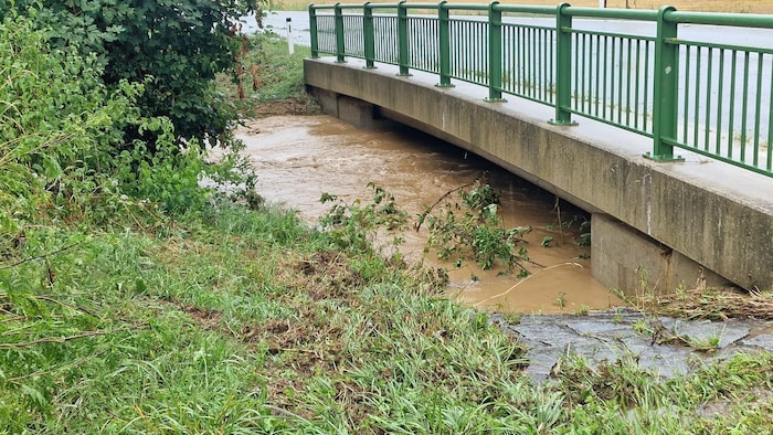 Das Gewitter zog Überschwemmungen sowie umgestürzte Bäume nach sich.