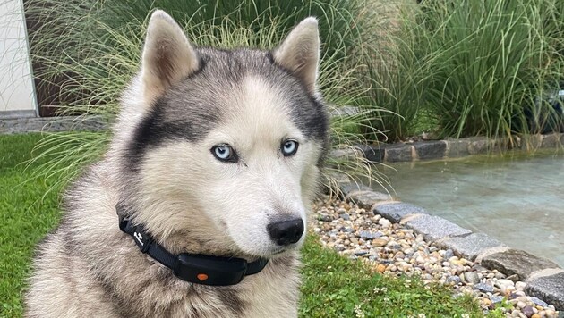 Gerade im freien Gelände und auf unbekanntem Terrain kann die Handy-Ortung eine große Hilfe ...