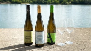 Mit diesen Veltlinern wird der Sommer zum Genuss