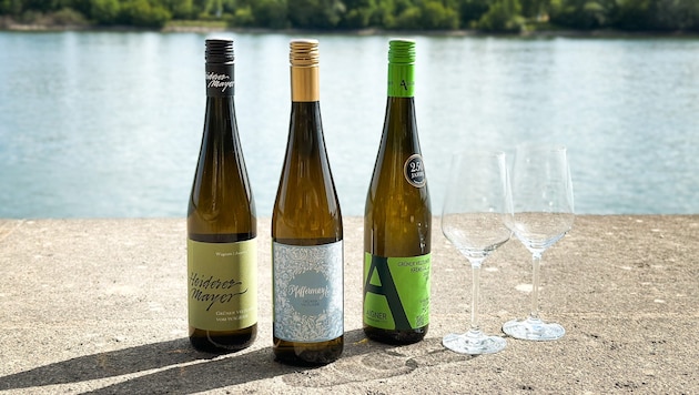 Mit diesen Veltlinern wird der Sommer zum Genuss