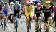 Die Freitags-Etappe der Tour de France musste wegen einem Rinderseuchen-Ausbruch verkürzt ...