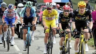 Die Freitags-Etappe der Tour de France musste wegen einem Rinderseuchen-Ausbruch verkürzt ...