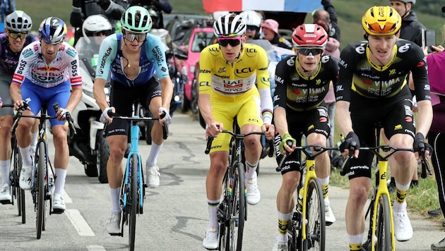 Die Freitags-Etappe der Tour de France musste wegen einem Rinderseuchen-Ausbruch verkürzt ...