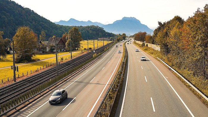 Entlang der Rheintalautobahn und an Zollstellen wurden Fallen für den Japankäfer aufgestellt.